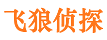 梁平外遇出轨调查取证